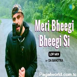 Meri Bheegi Bheegi Lofi Mix