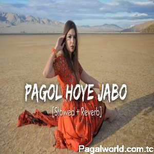 Pagol Hoye Jabo