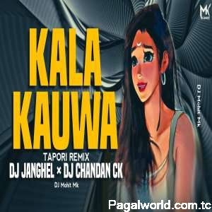 Kala Kauwa Kaat Khayga Tapori Dj Mix