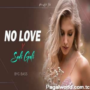 No Love X Sadi Gali (Remix)