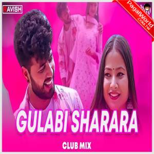 Gulabi Sharara DJ Ravish