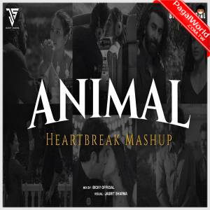 Animal Heartbreak Mashup - Bicky