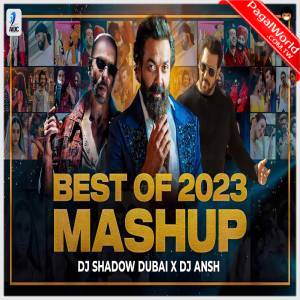 Best of 2023 MASHUP - DJ Shadow Dubai