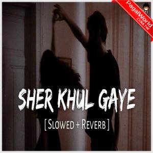 Sher Khul Gaye (Slowed Reverb)