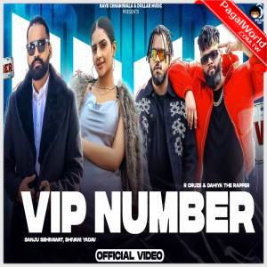 Vip Number