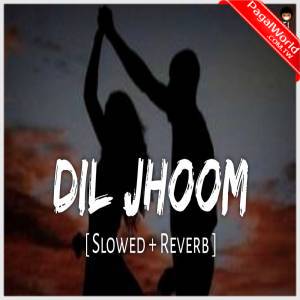 Dil Jhoom (Slowed Reverb)