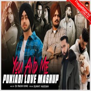 You And Me X Punjabi Love Mashup 2024