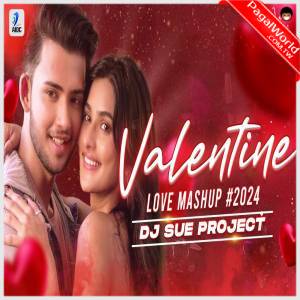 Valentine Love Mashup 2024 - DJ Sue Project