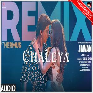 Chaleya Remix - Hermus