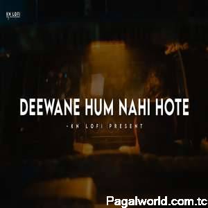 Deewane Hum Nahi Hote - Lofi